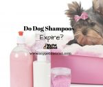 do dog shampoos expire
