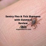Sentry Flea & Tick Shampoo with Oatmeal Review