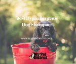 best hypoallergenic dog shampoo