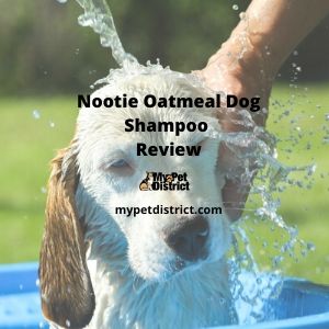 Nootie Oatmeal Dog Shampoo review