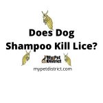 does dog shampoo kill lice