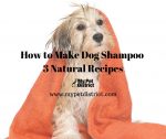 how to make dog shampoo